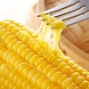 吉林【黄糯玉米】粒粒饱满 香甜软糯 自然醇香 生态玉米 东北富硒黑土地种植！ 商品缩略图2