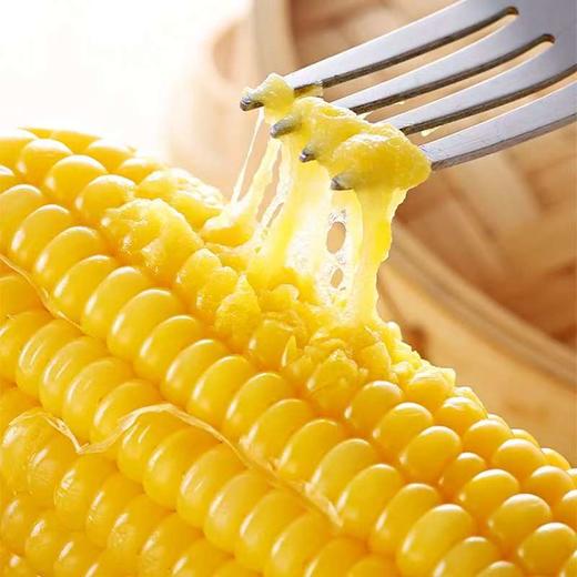 吉林【黄糯玉米】粒粒饱满 香甜软糯 自然醇香 生态玉米 东北富硒黑土地种植！ 商品图2
