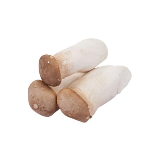 杏鲍菇（精包）(500±30g) 蘑菇 商品图0