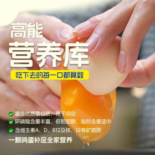 蛋鲜森 无抗谷物鲜鸡蛋30枚礼盒装1200g 商品图2