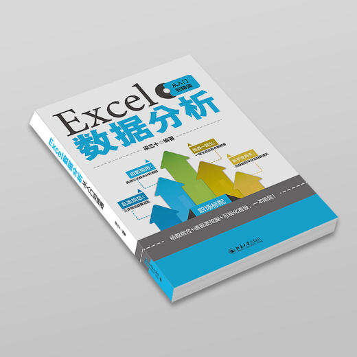 Excel数据分析从入门到精通 梁三十 编著 北京大学出版社 商品图2