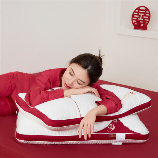 【品牌直发】加倍生活  莱赛尔天丝纯棉婚庆枕头 商品图5