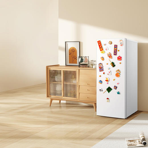 【TCL冰箱】TCL 118升L3 单门双温家用白色小冰箱节能低噪租房电冰箱  R118L3-A 商品图1