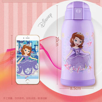 迪士尼（DISNEY）儿童保温杯带吸管316不锈钢男喝水杯子小学生宝宝专用双盖壶600ml /厨具 /水具 /保温杯 商品图3