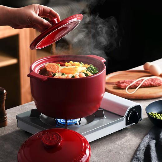 西屋Westinghouse-陶瓷锅WTG451 商品图2