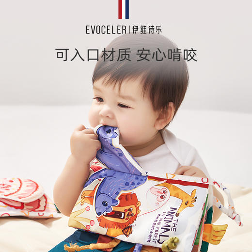 伊维诗乐尾巴布书（双本装） 商品图4