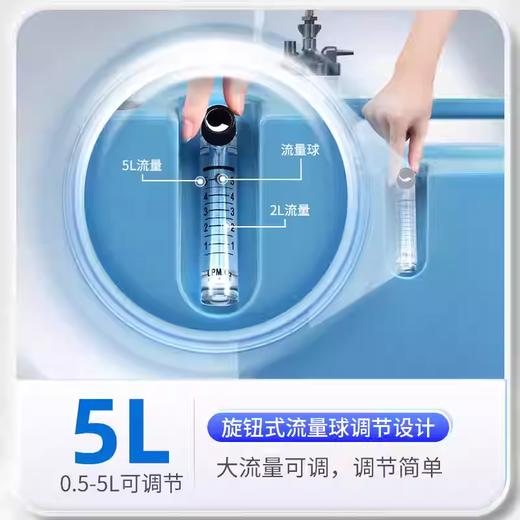 飞利浦5升家用制氧机EverFlo Q 商品图1