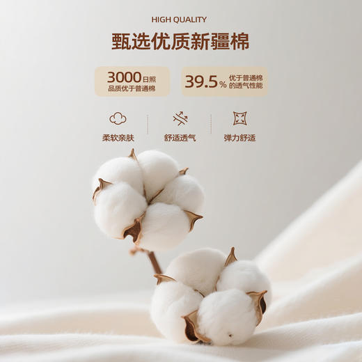 马恩MAXNEW2025秋季新款纯色t恤男式宽松重磅上衣纯棉白打底长袖 商品图2