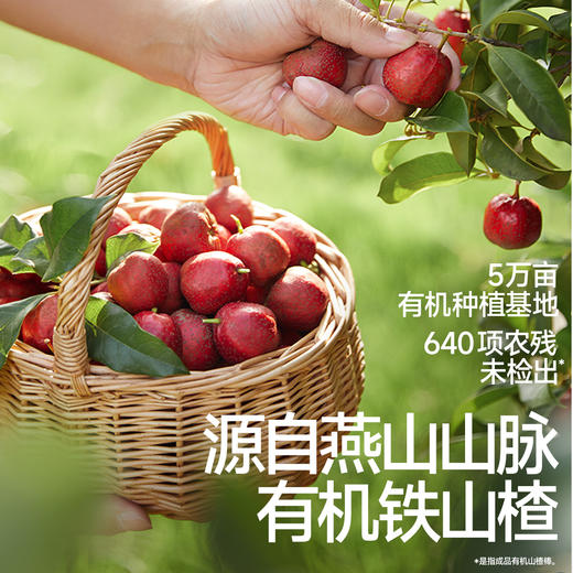 【⚡19.9秒杀 2袋】有机山楂棒85g*2，叠加店铺满赠，不叠加店铺满减和会员折扣 商品图2