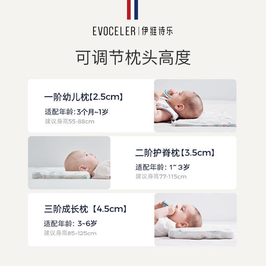 伊维诗乐婴儿护颈枕-菲普兔（凉感） 商品图5