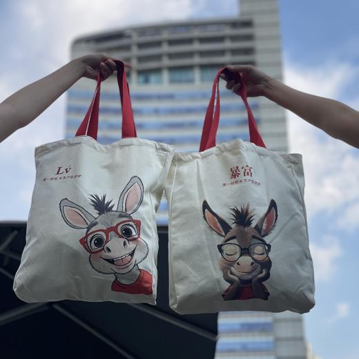 [生产队的驴] IP原创帆布包 商品图2