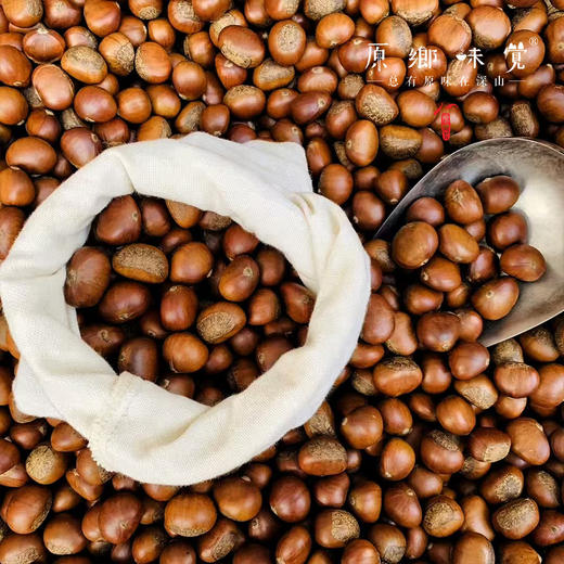 【每周二周五发货】怀柔生态鲜板栗/速冻板栗仁（基地直发-申通包邮） | 多种规格，来自北京怀柔，生产者：王秀亮【合作生产，公平贸易】 商品图3