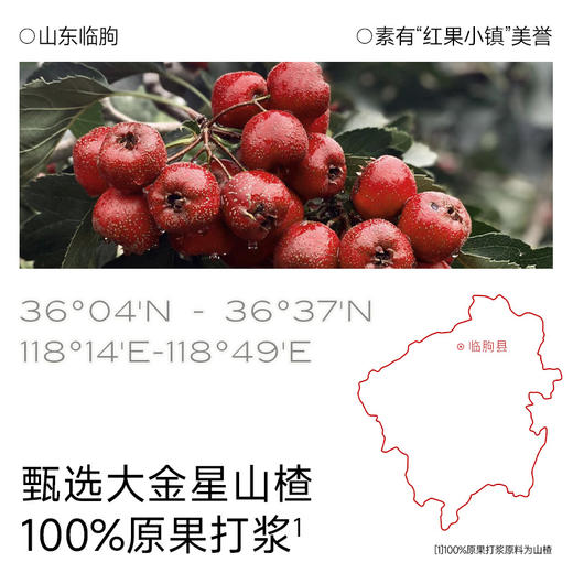 【不二宝贝】牛脾肽鸡内金山楂六物葫芦串(袋装)78g 商品图2