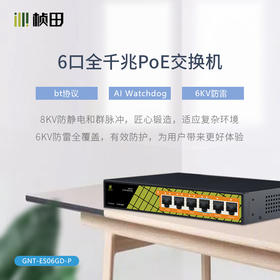 6口全千兆POE交换机(2G+1GP6+3GP/65W)铁壳-GNT-ES06GD-P