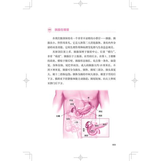 “胰”路前行 胰腺癌的那些事儿 “肿”要知道丛书 王红霞 龙江 介绍了胰腺肿瘤的诊断治疗等 9787547872390 上海科学技术出版社 商品图4