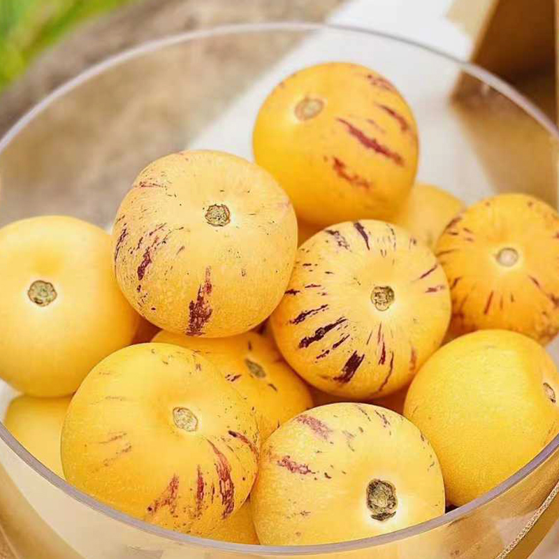 云南石林树上熟人参果   顺丰/京东发货