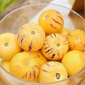 云南石林树上熟人参果   顺丰/京东发货