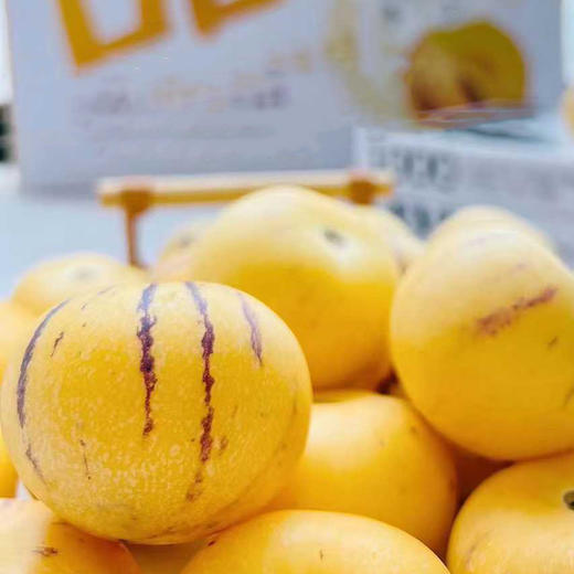 云南石林树上熟人参果   顺丰/京东发货 商品图2