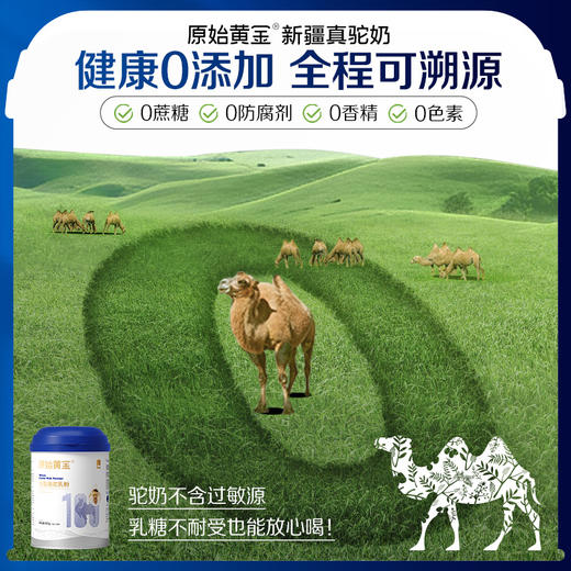原始黄金 骆驼乳粉 （全脂） 商品图7