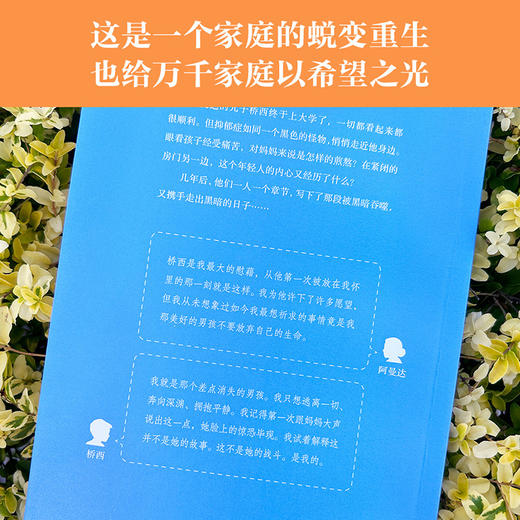 差点消失的桥西（一位母亲陪伴儿子抗击抑郁的感动全纪录，一个家庭的蜕变重生，也给万千家庭以希望之光。李松蔚、施琪嘉、张丹丹、詹大年共同推荐） 商品图3