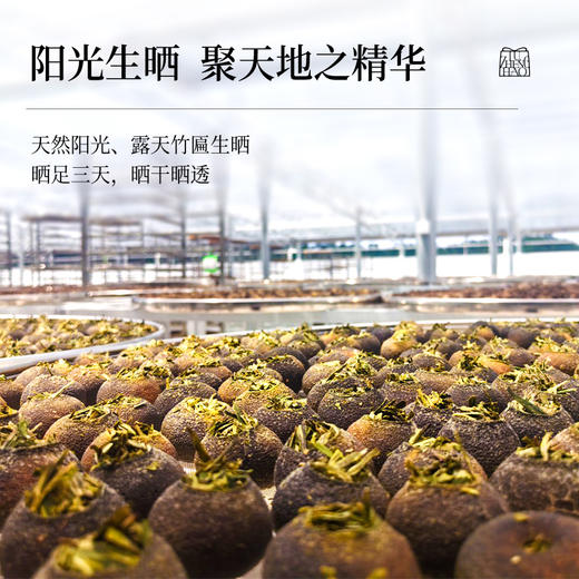 卢正浩首创龙井柑茶新会核心小青柑杭州高山龙井罐装 商品图2