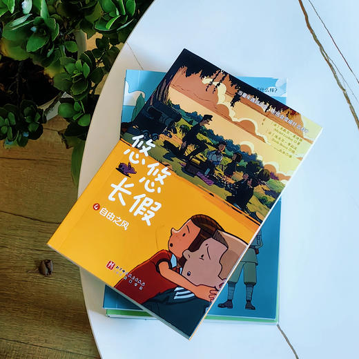 《悠悠长假》（全4册）：《奇怪的战争》《暴风雨来临》《抉择时刻》《自由之风》 商品图12
