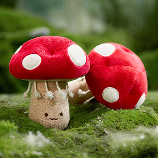 伊维诗乐蛇年礼盒 商品图7