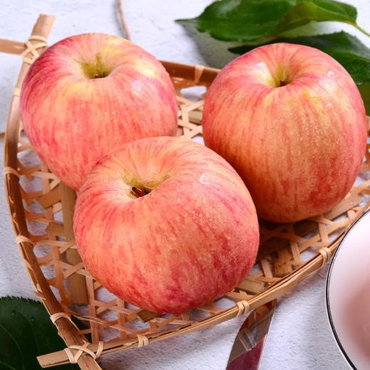 【源头直发】山东烟台红富士苹果 肉厚多汁 顺丰包邮  YM 商品图0