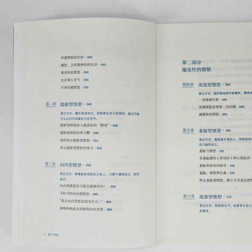 敢于愤怒 正确发脾气，更有利于解决问题 敢于冲突不害怕冲突心理学书籍情绪掌控情绪失控与自己和解发脾气告别内耗 商品图3