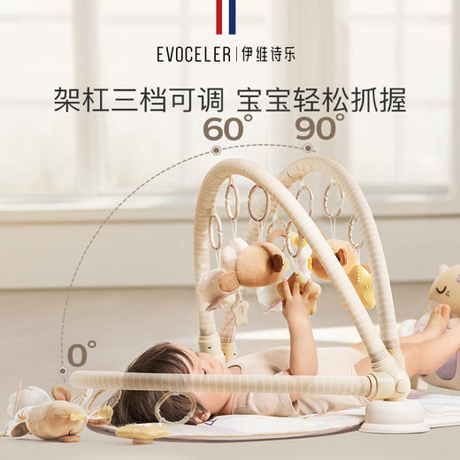 伊维诗乐健身架 商品图2