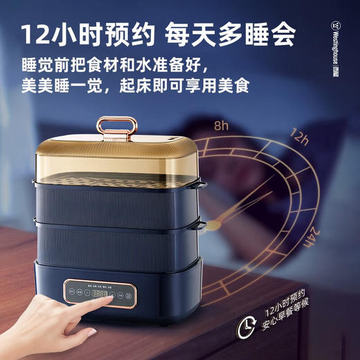 西屋Westinghouse-电蒸锅WZL121 商品图0