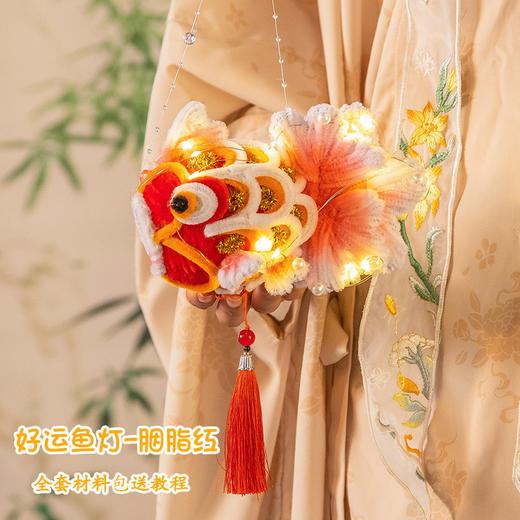【月圆团员夜！光影如画】创意锦鲤鱼灯，中秋节锦鲤灯笼扭扭棒手工diy材料包儿童手提发光花灯金鱼灯。rb 商品图7
