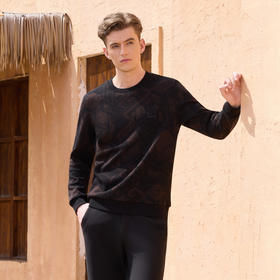 半身缘男装 秋季舒适简约大方百搭卫衣253312M01110026