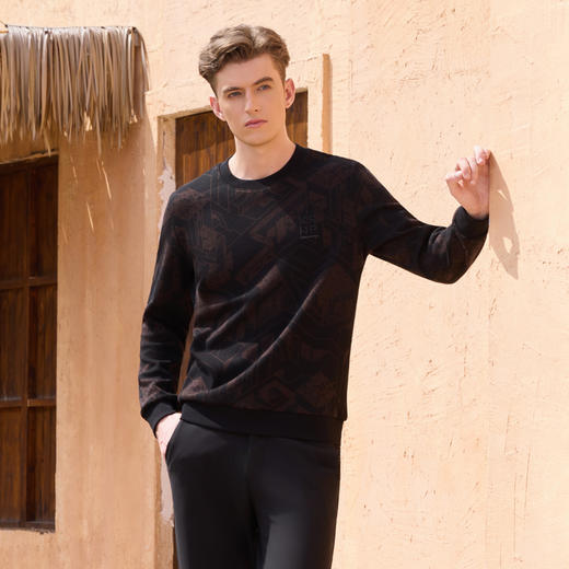 半身缘男装 秋季舒适简约大方百搭卫衣253312M01110026 商品图0