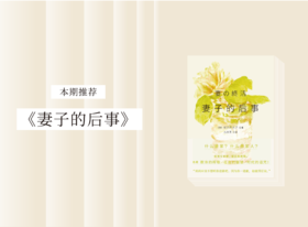 长篇小说 |《妻子的后事》