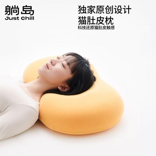躺岛猫肚皮枕经典款枕头 商品图1