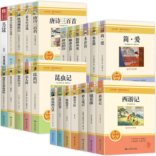 七八九年级初中必读名著 无障碍阅读 配套人教版初中课本推荐课外阅读书 完整无删减版 商品图2