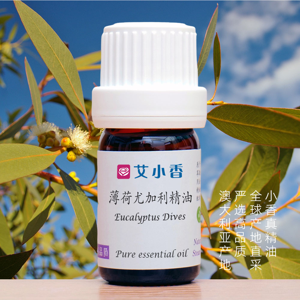 薄荷尤加利精油 澳洲产地直采 强劲清凉空间净化