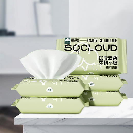 芷雨 湿厕纸10片(一件包邮) 包*10包 商品图0