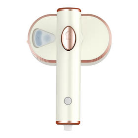 春花手持蒸汽电熨斗CTQ-509Y