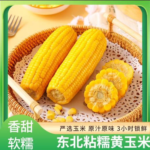 吉林【黄糯玉米】粒粒饱满 香甜软糯 自然醇香 生态玉米 东北富硒黑土地种植！ 商品图5
