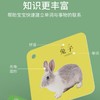 【曼龙严选】认知卡 儿童早教益智 看图识字 动物数字形状颜色交通工具水果蔬菜 商品缩略图4