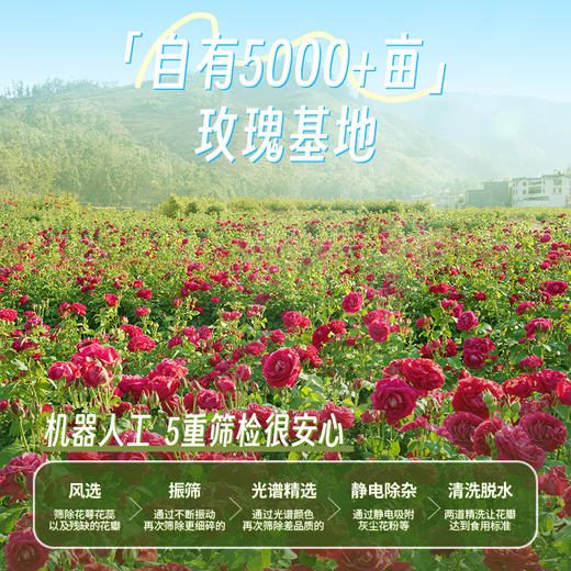 【爆款】潘祥记官方旗舰店玫瑰群芳鲜花饼400克4味16枚 商品图3