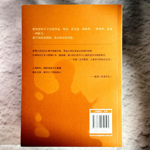 1970 上海—金堂 孙春梅 时代变迁 西部教育 作者亲身经历改编 商品图2