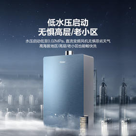 海尔（Haier）【JR7PRO】16升燃气热水器天然气 增压零冷水 大水量瀑布洗 WIFI智控 JSQ30-16JR7PRO *