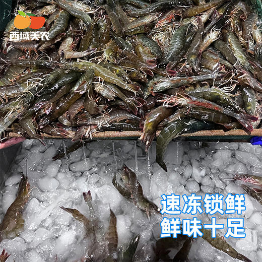 【顺丰！】西域美农国产速冻白虾 速冻青虾仁 无保水剂、无防腐剂、315说的那些美农都没有！ 商品图3