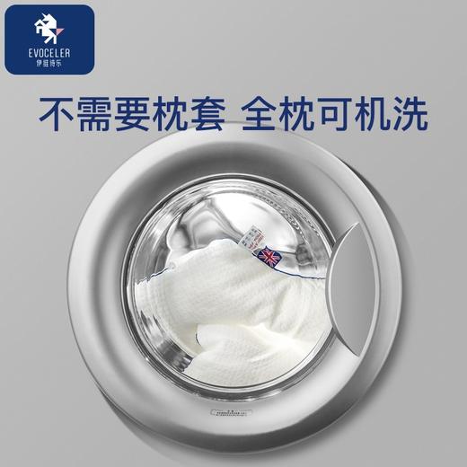 伊维诗乐三点定型枕 商品图4