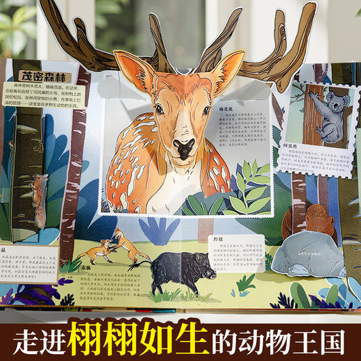 【青葫芦】那么大！立体书：动物 3-8岁 儿童3d立体书 商品图2
