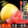 【福利❗️19.9抢5斤🔥正宗红肉蜜柚】自家果园，现摘现发，香甜可口，多汁美味，红柚三红官溪琯溪红心柚中秋节日送礼物柚子礼盒套装 商品缩略图0
