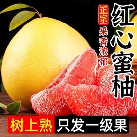 【福利❗️19.9抢5斤🔥正宗红肉蜜柚】自家果园，现摘现发，香甜可口，多汁美味，红柚三红官溪琯溪红心柚中秋节日送礼物柚子礼盒套装